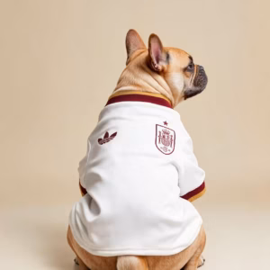 Spain jersey for dog