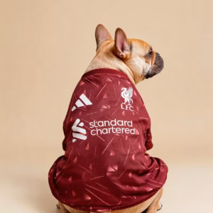 Liverpool Jersey for Dog — Collector Supporter Edition