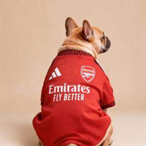 Arsenal Jersey for Dog — Collector Supporter Edition